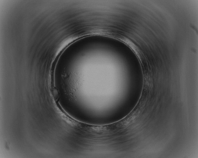 X0000093591147200710151159