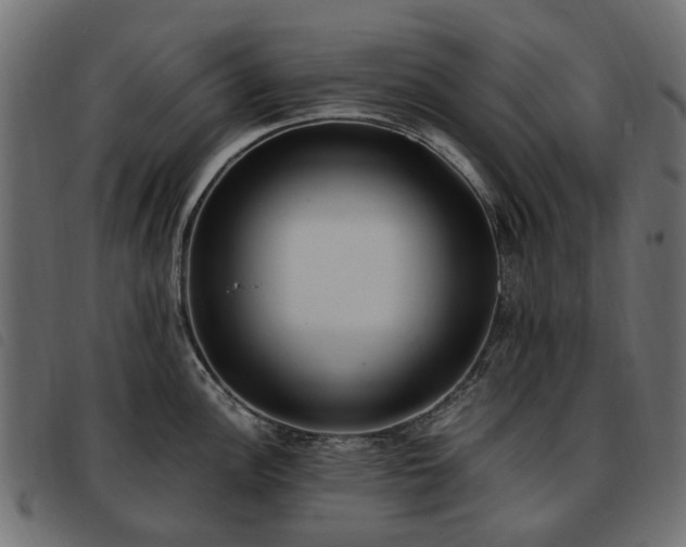 X0000093591148200710151159