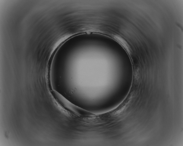X0000093591149200710151159