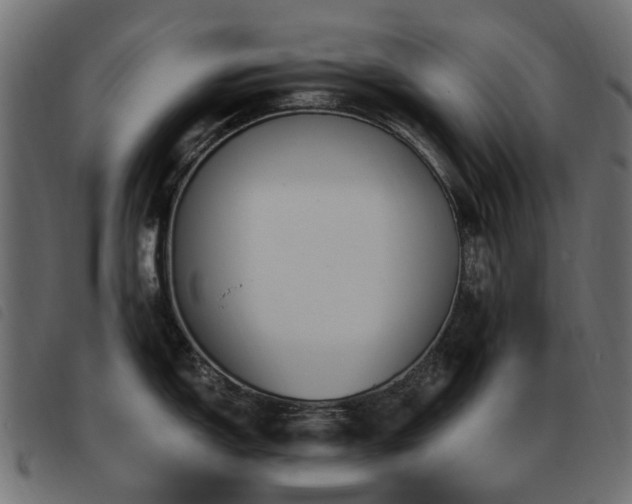 X0000093591150200710151159