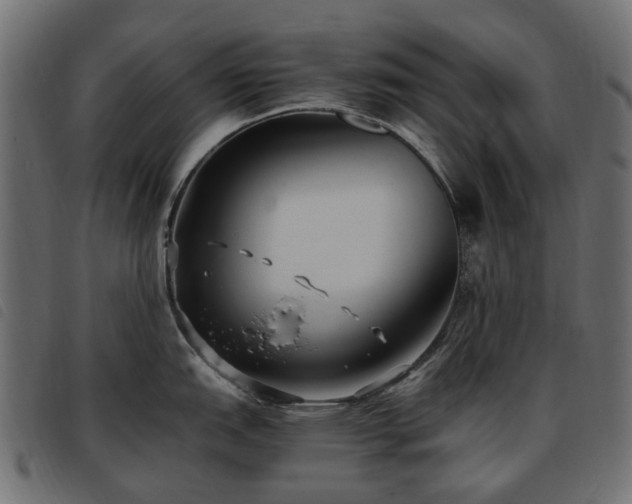 X0000093591151200710151159