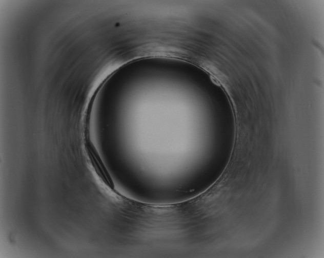 X0000093591152200710151159