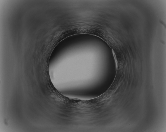 X0000093591153200710151158