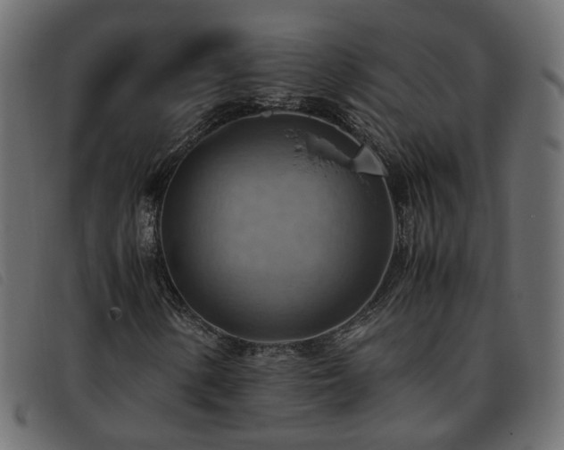 X0000093591154200710151158