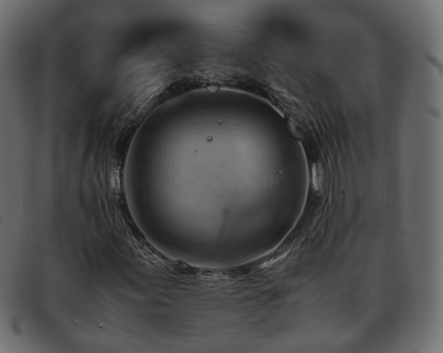 X0000093591155200710151158