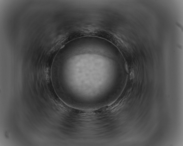 X0000093591156200710151158