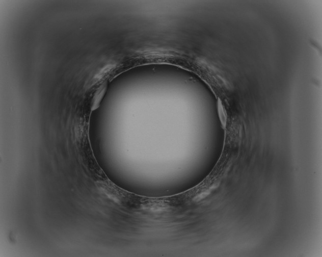 X0000093591157200710151158
