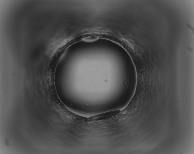 X0000093591159200710151158