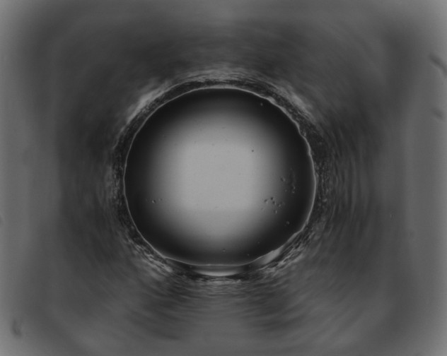 X0000093591160200710151158