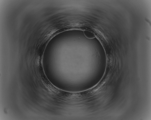 X0000093591161200710151158