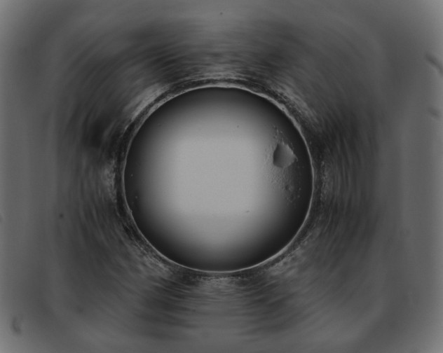X0000093591162200710151158
