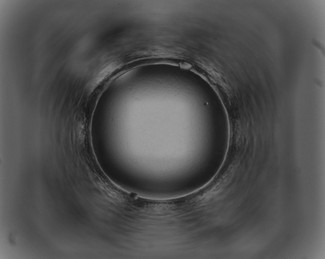 X0000093591163200710151158