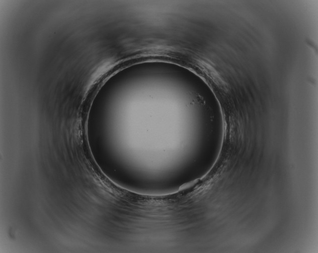 X0000093591164200710151158