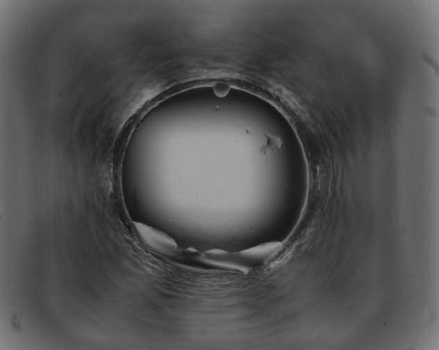 X0000093591165200710151158