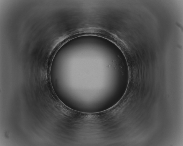X0000093591166200710151158