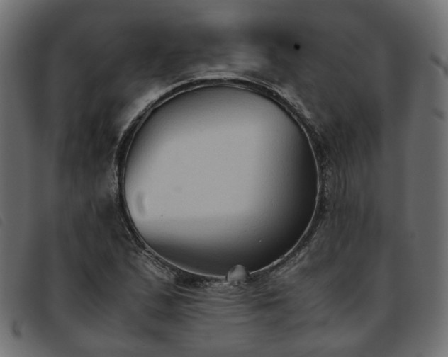 X0000093591167200710151158