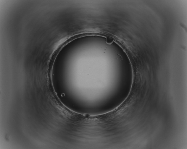 X0000093591168200710151158