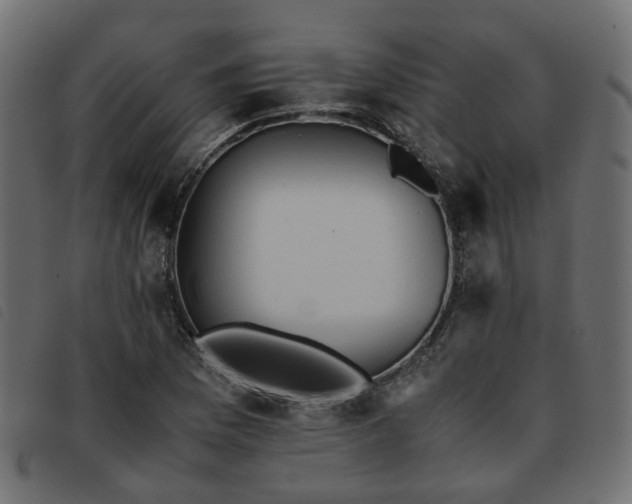 X0000093591169200710151158