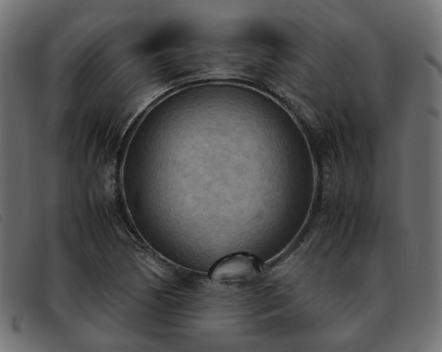 X0000093591170200710151158