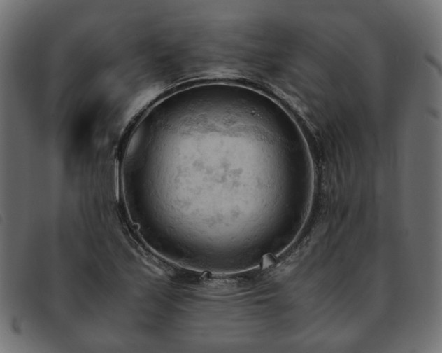 X0000093591171200710151158