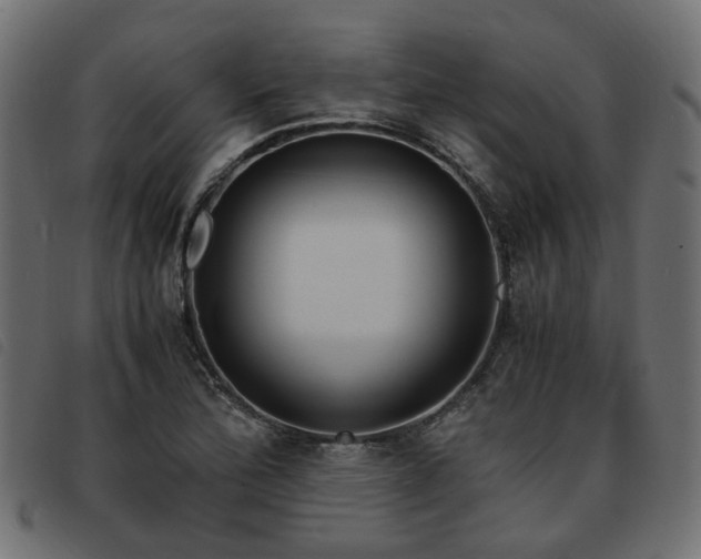 X0000093591172200710151158