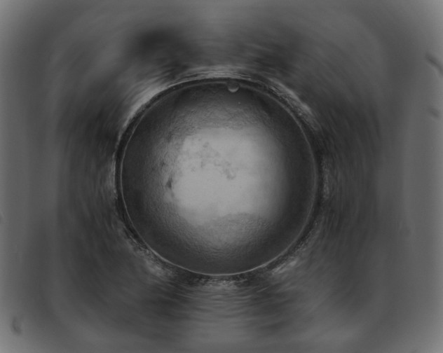 X0000093591174200710151158
