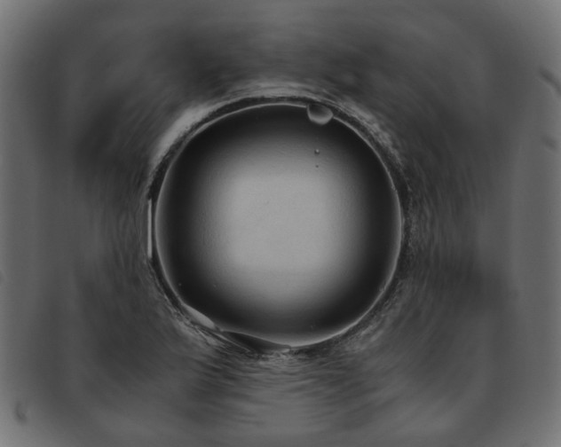 X0000093591175200710151158