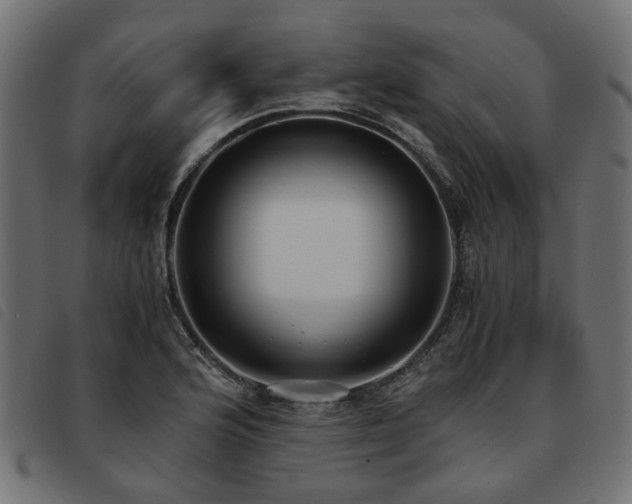 X0000093591176200710151158