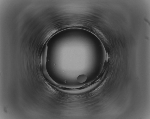 X0000093591177200710151158