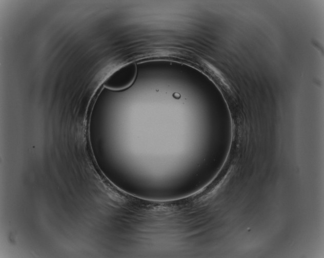 X0000093591178200710151158