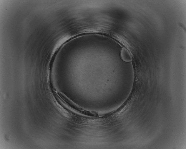 X0000093591179200710151158