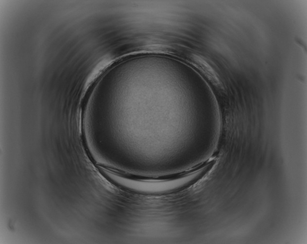 X0000093591180200710151158