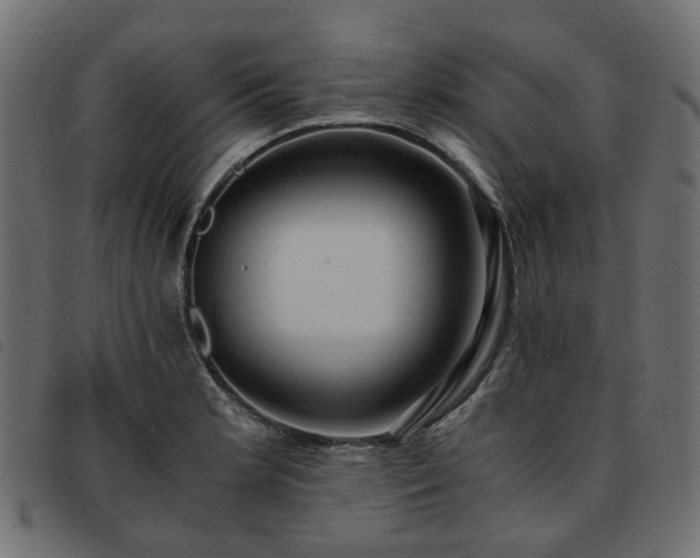 X0000093591181200710151158