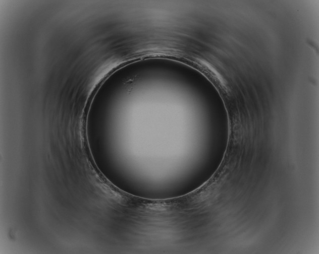 X0000093591182200710151158