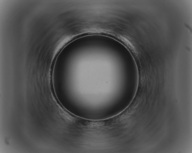 X0000093591183200710151158