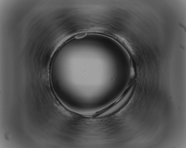 X0000093591184200710151158