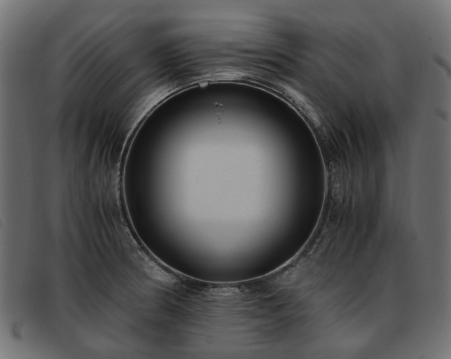 X0000093591186200710151158
