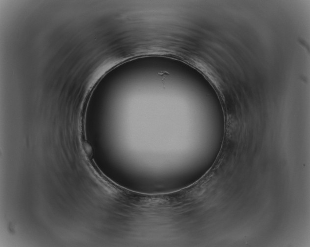 X0000093591187200710151158