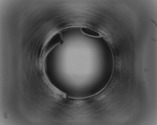 X0000093591188200710151158