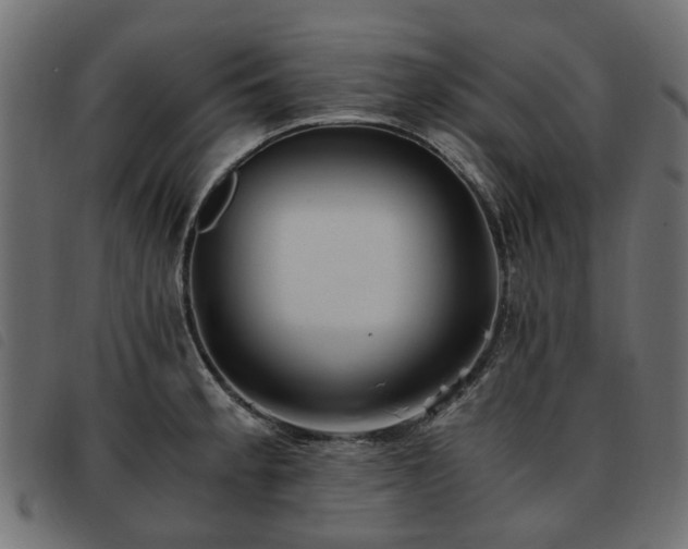 X0000093591189200710151158