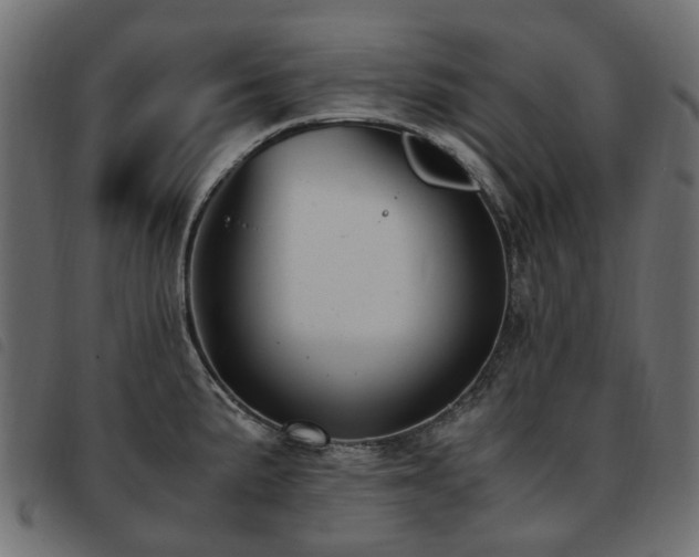 X0000093591191200710151158