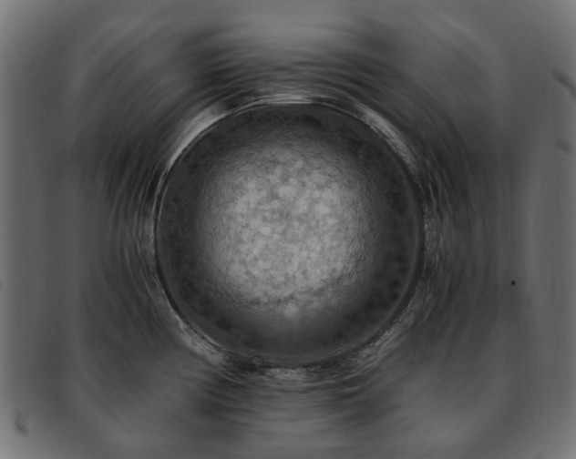X0000093591194200710151158