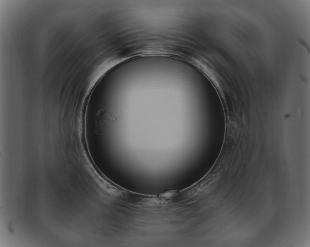 X0000093591195200710151158