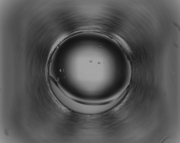 X0000093591196200710151158
