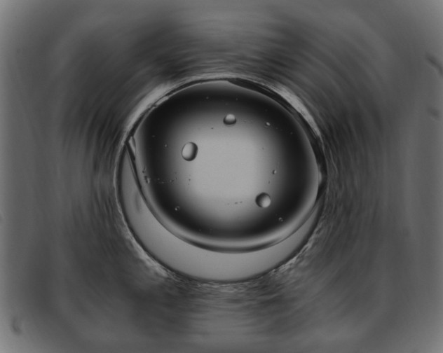 X0000093591197200710151158