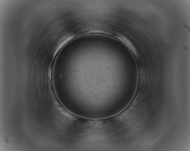 X0000093591198200710151158