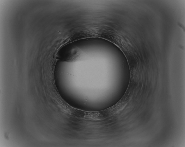 X0000093591201200710151157