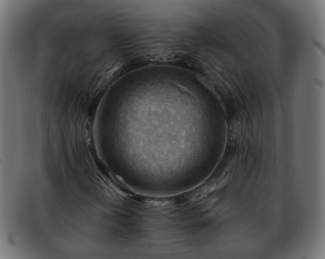 X0000093591202200710151157