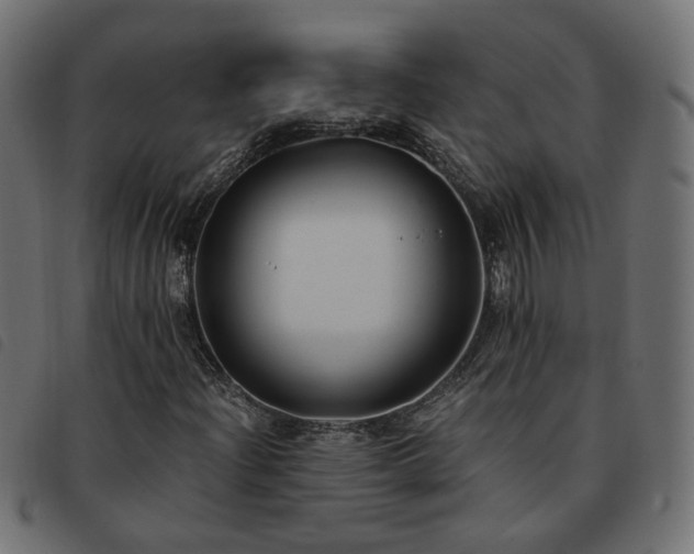X0000093591204200710151157