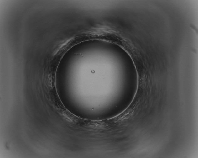 X0000093591205200710151157